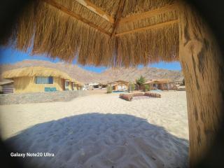 Viva La Vida Beach Camp - 0