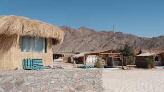 Viva La Vida Beach Camp - 1