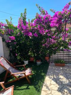 Bougainvillea Terrace - 5