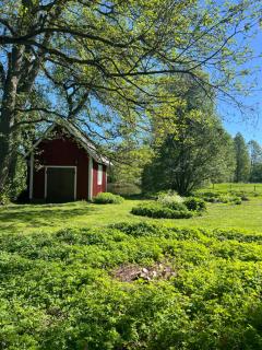 Malingstorp - Cottage with lake and sauna - 3