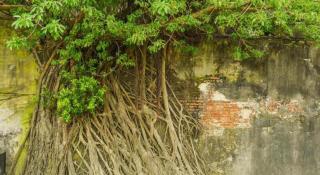 Read River - 3
