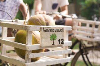 Palmeto Village - Gili Trawangan - 3