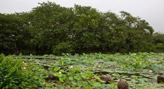 Shan Shui Jyu Hotel - 5