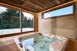 Chalet Phoenix - 14 pers - Spa - Hammam - 8