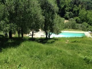 Modern Holiday Home in Pescia Tuscany with Swimming Pool - Pescia - 3
