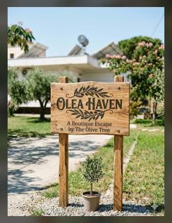 Olea Heaven Aliveri - 9