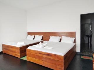 Shiny Cot - Nuwaraeliya - 2