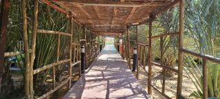 Saiaa Resort Abu Dhabi إِستراحة صِيَّا - 4