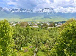 Cozy Dez Guest House with Dreamy Mountain Views - 7
