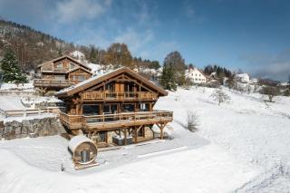 LE CERF - 12 pers -Sauna-Jacuzzi - 9