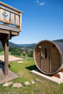 LE CERF - 12 pers -Sauna-Jacuzzi - 4
