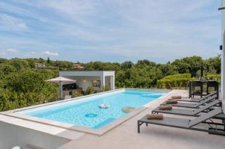Villa Noah - Luxurious villa with private pool - Vranje Selo - 1