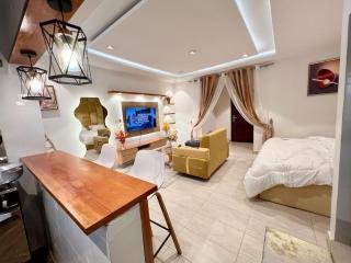 Spacious luxury studio - 6