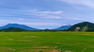 Yus homestay - 3