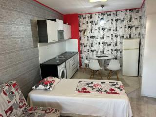 Two-bedroom apartment in AVENUE complex - 4