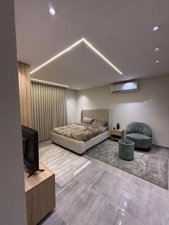 Roomy Modern Studio - 0