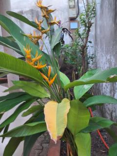 KAWOR RESIDENCE djagble - 8