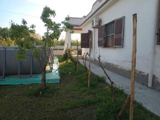 Design Villa, eco,pool, fruit garden close to sea - 3