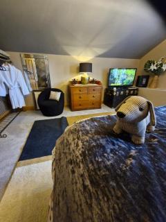 Drumee Lodge boutique B and B, Newcastle, County Down - 3