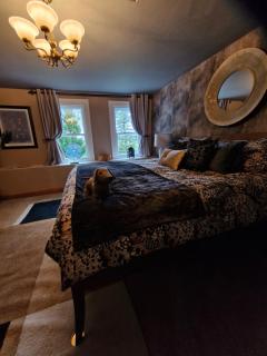 Drumee Lodge boutique B and B, Newcastle, County Down - 1