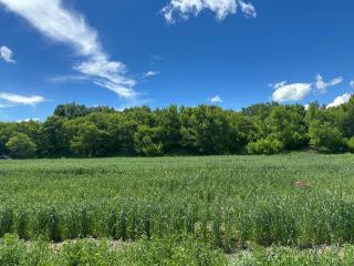 Gyumri Glamping - 3