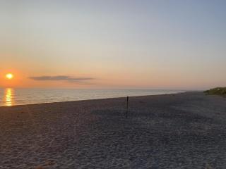 Wangermeer Perle I - 1