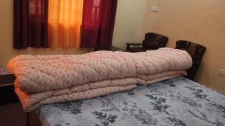 Dhuung karpo home stay - 1