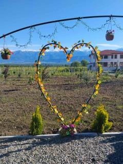 Caucasus View Cottage კავკასიონის ხედი - 8