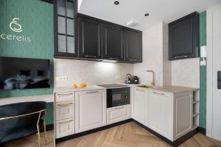Eleganckie Studia z Balkonem Blisko Parku Zdrojowego by Renters Prestige - 7