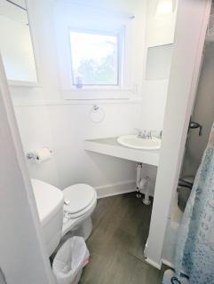 pet friendly newly updated loft bedroom apartment - 2