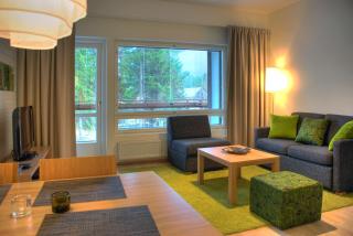 Tahkovuori Chalets B 101 - 4