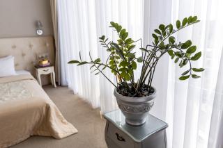 Boutique Spa Casino Hotel Lybid Plaza - 5