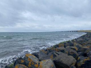 8 person holiday home in Ringkøbing - 7