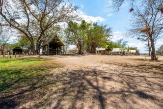 Chobe River Campsite - 3