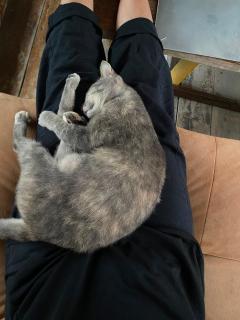 Big hug home-Baan Rim Klong - 3