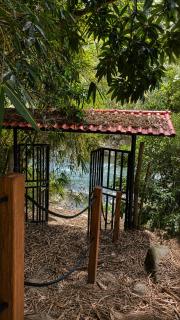 Glamping de lujo en Buga, jacuzzi-Río-Naturaleza-Piscina - 6