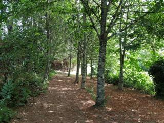 A Cancela House Arouca Paiva Walkways - 4