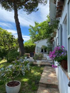 A little Angle of Paradise, Gabicce Monte, Italy - 7