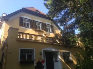 Exquisites Gartenapartment in eleganter Jugendstilvilla - Wenen - 9