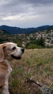 Rhodope House Momchil Yunak - 3