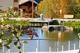 Gentiane 5 pers - proche pistes - 2