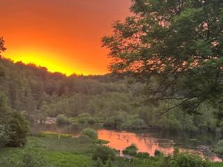 Ferienhaus-am See - 8