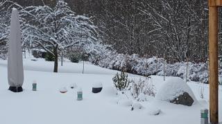 Le Clos des Aulnes - 5