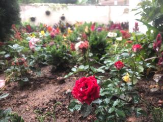 Elysian Hills Heritage Bungalow in Nuwara Eliya - 2