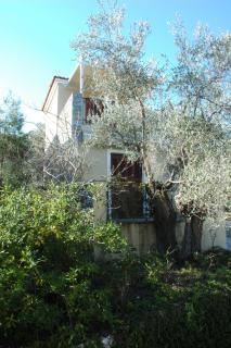 Gera's Olive Grove - Elaionas Lesvou - Perama - 8
