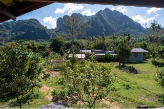 Tara Farm Stay Khao Sok - 8