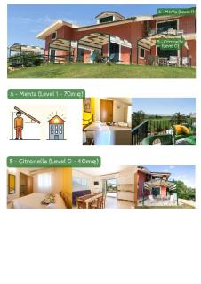 Al Ficodindia - BS - 8