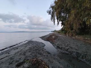 Aviator's Seafront Escape - 4