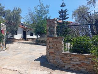Stamoulis Garden House - 3