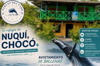 Perlas del cabo nuqui choco - 4